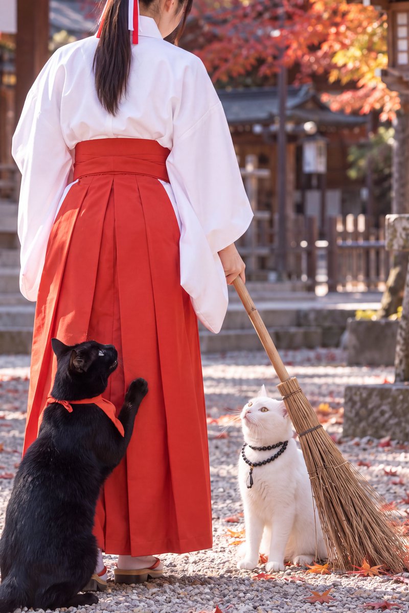 wa_cats's tweet photo. 神と巫女の戯れ https://t.co/TjHuDBnLbg