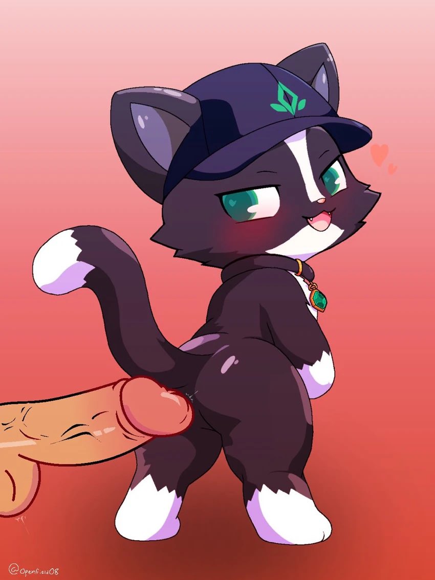openfield08's tweet photo. a cat is fine too~ https://t.co/AecxHFZRuL