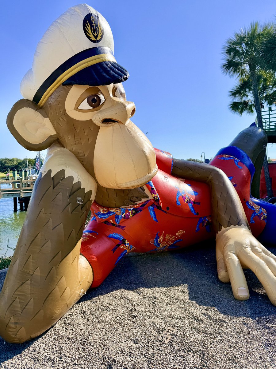 opensea's tweet photo. BAYC on the bayou

@BoredApeYC https://t.co/t2TzsAhA3K