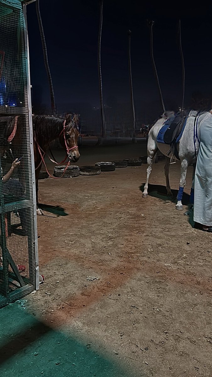 sara53722005's tweet photo. 🤎🐎 https://t.co/ng7rKZogKK