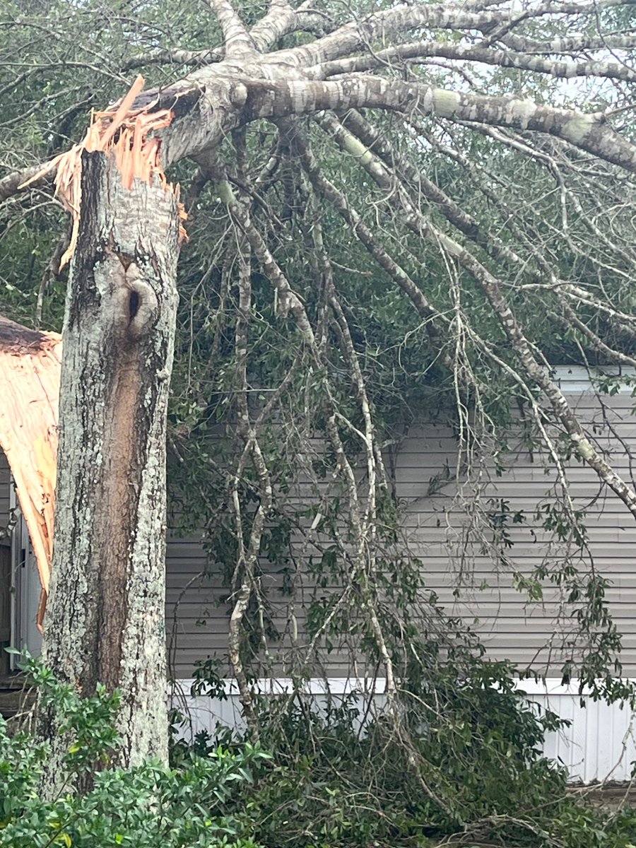 NotSSSeagurll's tweet photo. Anything helps. Pls help us rebuild, cleanup after Hurricane Isaias! 
#PensacolaFL #hurricane #HurricaneSeason2026 @dharmann @MrBeast #plshelp #naturaldisaster https://t.co/X84et9QxhU