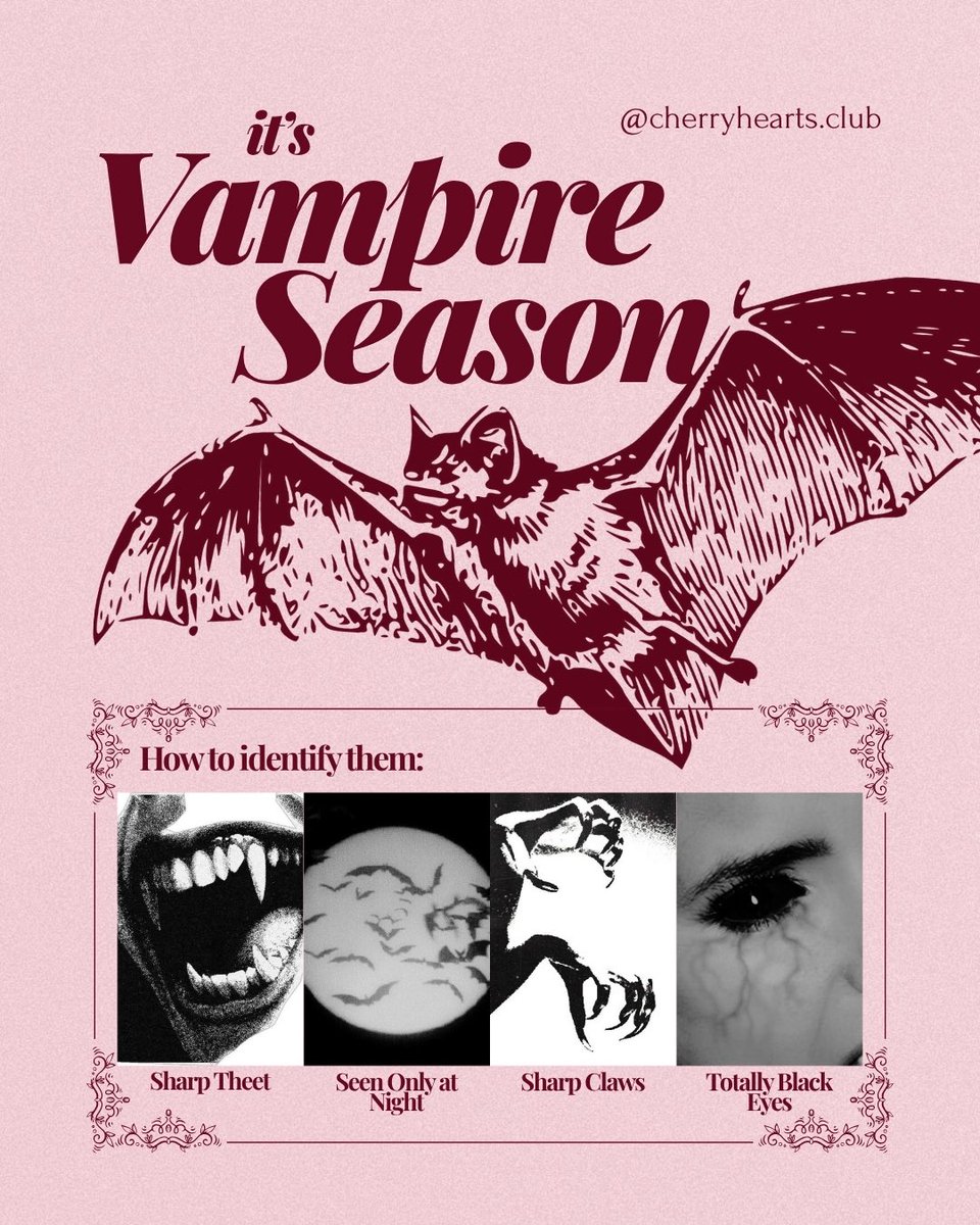 cherryheartsc's tweet photo. the season of vampires is here 🦇
e dessa vez, as donas de casa têm uma missão: caçar vampiros!

📖 Manual das Donas de Casa Caçadoras de Vampiros é uma das nossas leituras de outubro! https://t.co/SDdnUkDvRg