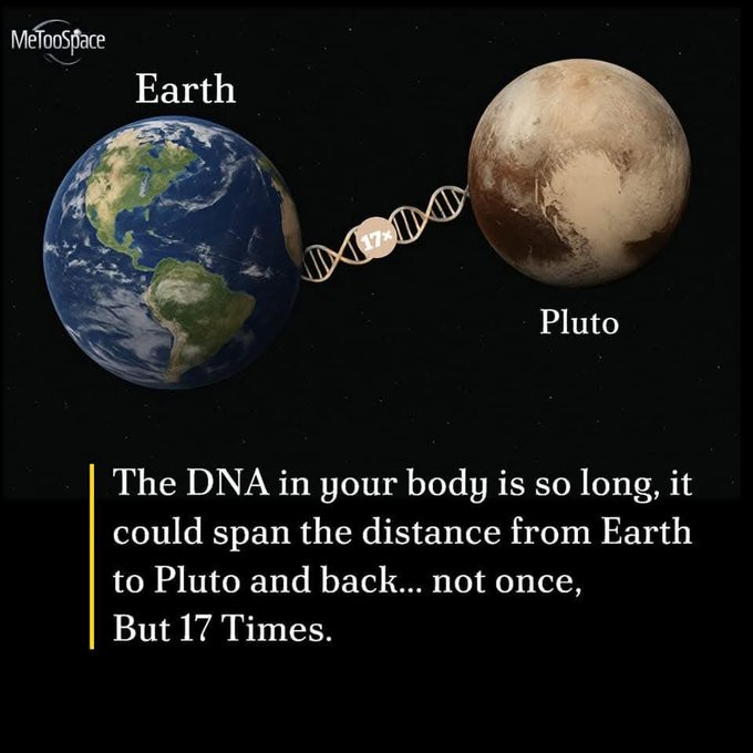 JamieAA_Again's tweet photo. Riddle me this:  
What is so long it could stretch from Pluto and back to Earth 17 times yet it too small to be seen with a Microscope? https://t.co/pwAcj4fvNe