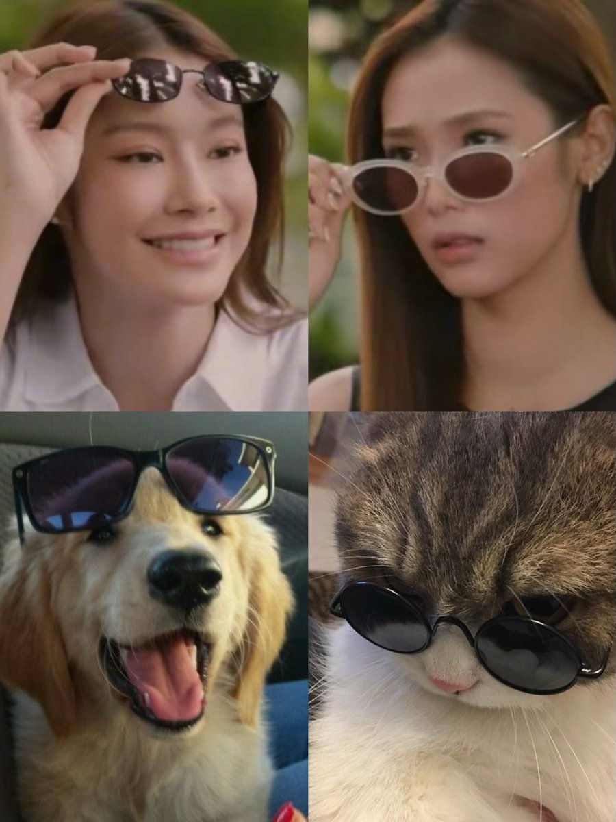 nflovereiei's tweet photo. 🐶😾 https://t.co/hhvXDuEyuF