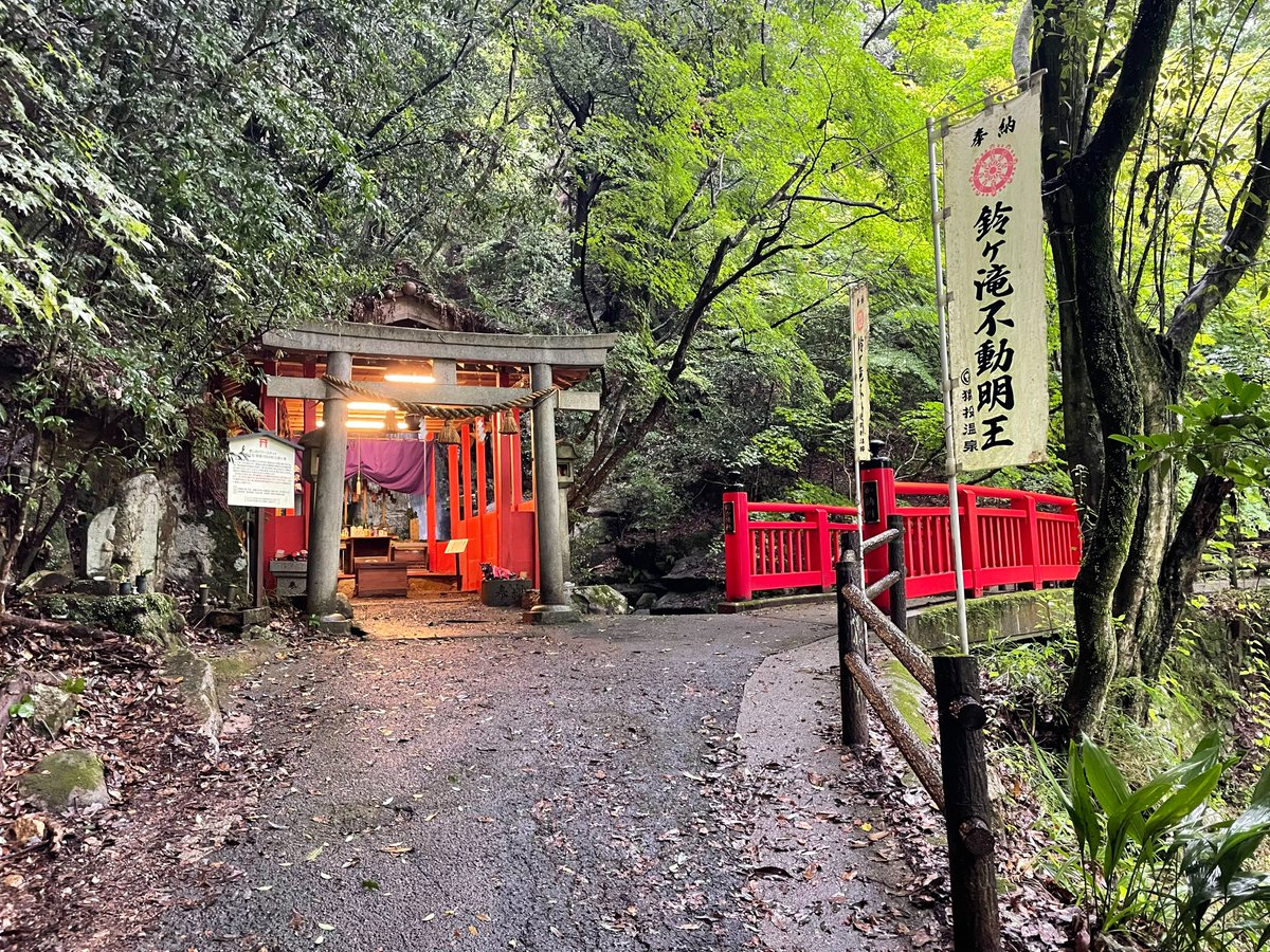 mikawaanjo127's tweet photo. 🌿ホテル周辺のおすすめ観光スポットをご紹介♪
猿投神社や猿投山で歴史と自然を満喫したり、
香嵐渓で四季の景色を楽しんだり、
鞍ケ池公園でのんびり過ごすのもおすすめです✨

日本でも希少なラドン温泉と一緒に
豊田の魅力を巡ってみませんか？🚗

ホテルから車で40分 https://t.co/a3wA3qk2Kv