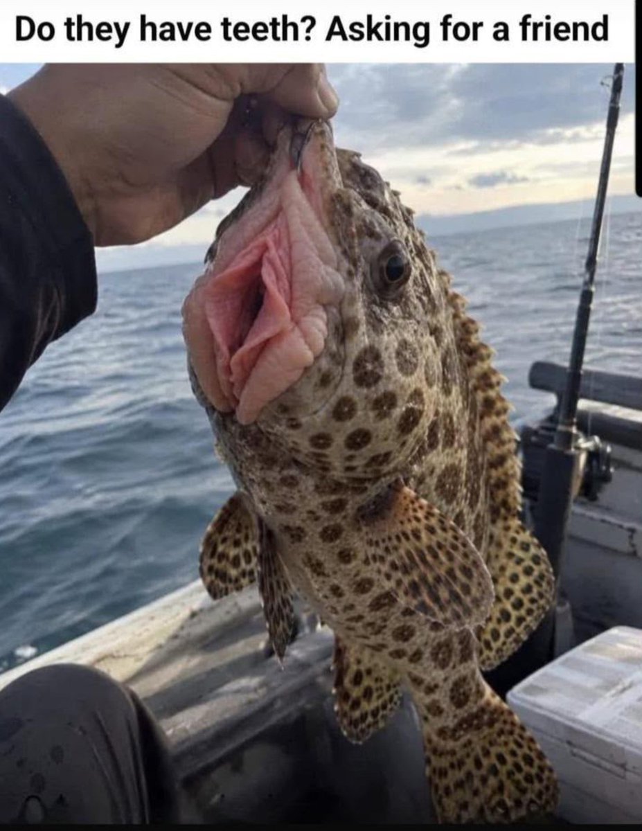 mongoliciouss's tweet photo. Why I enjoy fishing 😂🤣😂 https://t.co/CYi9oGtg2z