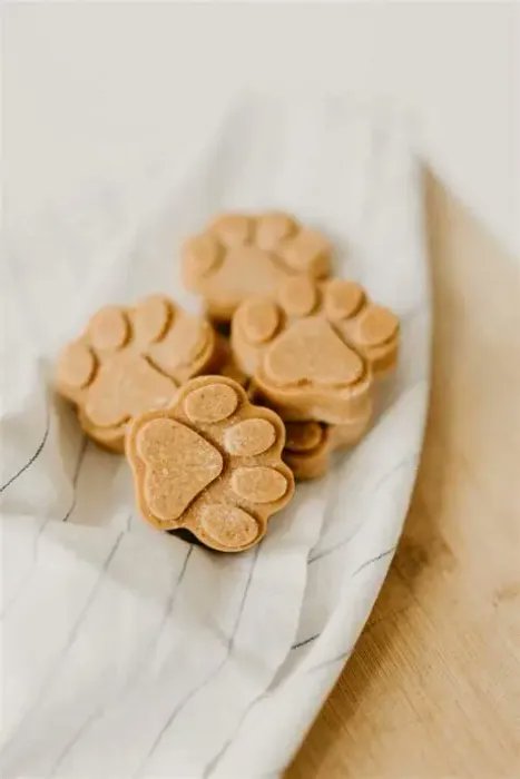 lovepinkiponies's tweet photo. Double gift! I just received Dog Treats from evvies_beta_slut via Throne. Thank you! https://t.co/vSaxxbgXng #Wishlist #Throne https://t.co/oyZmInwa8O