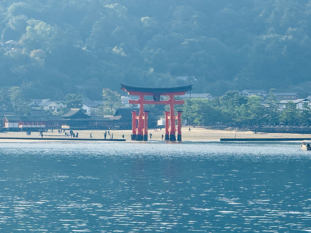 gnu_shutter_day's tweet photo. 見えてきたよ!
#photo #photography
#広島 #宮島 #厳島神社 https://t.co/NQnpcolhYf
