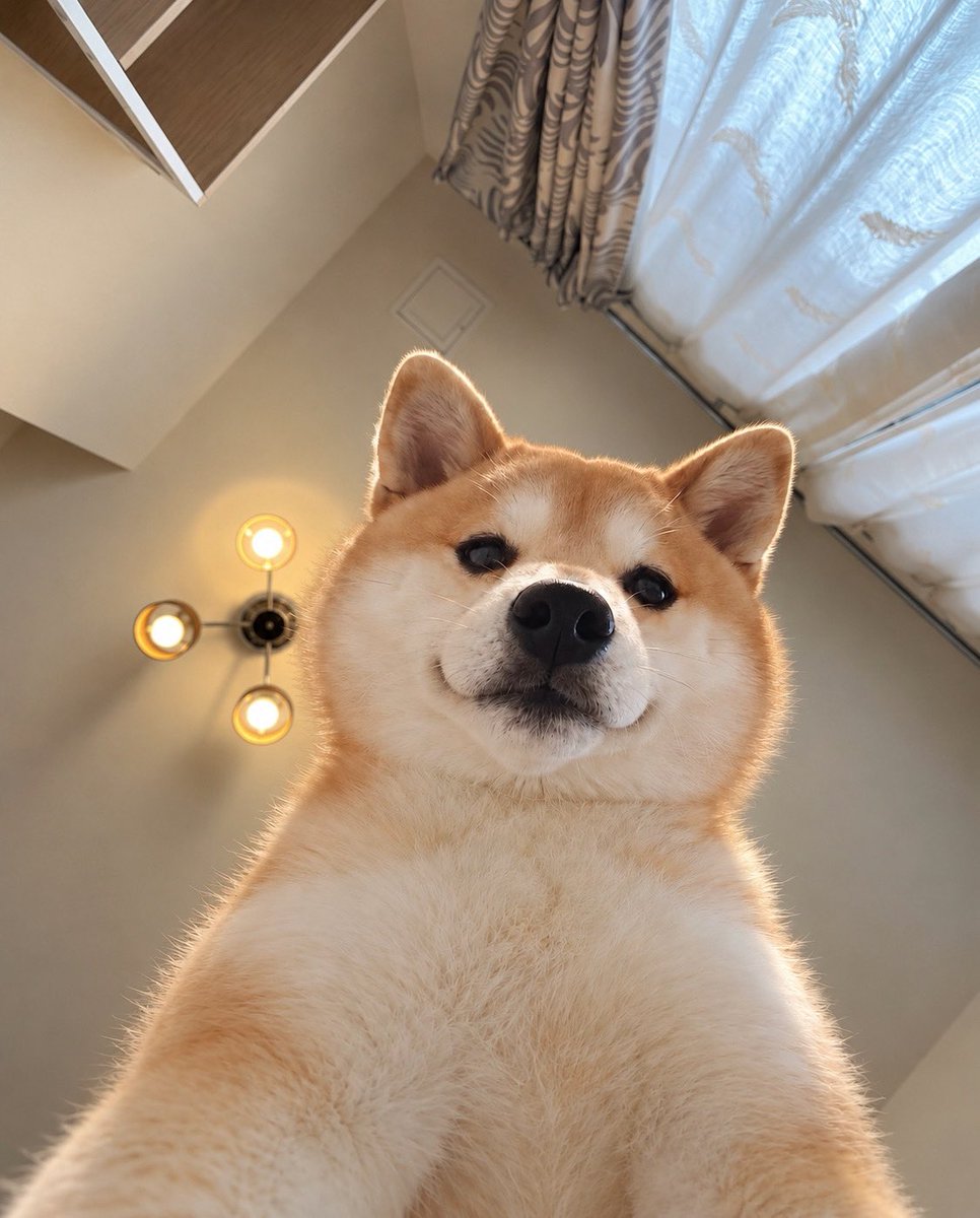 momonosekaiii's tweet photo. 目が覚めたかニンゲン……

今　年　の　土　日　は　あ　と　10　回　し　か　な　い　… https://t.co/wlZkddy7fv