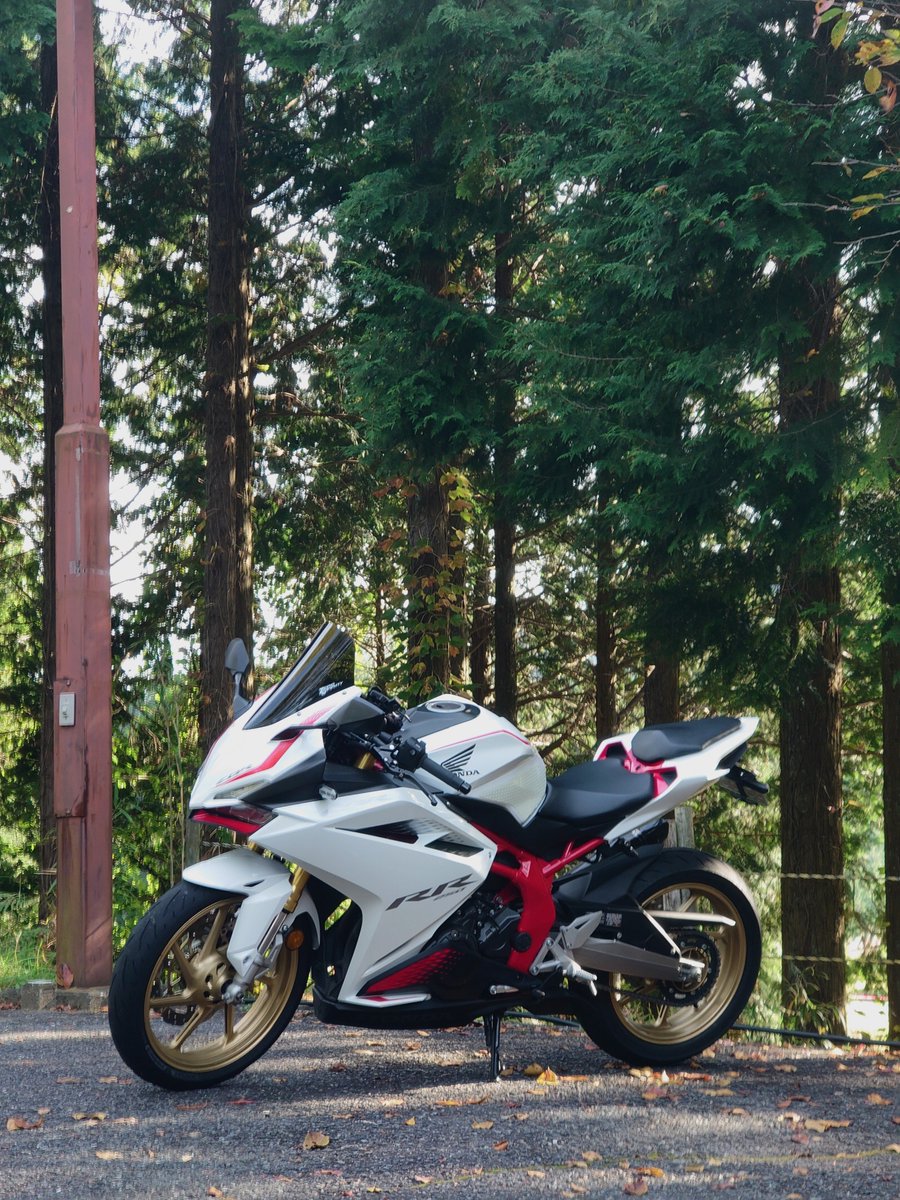 aomaru2rin's tweet photo. おはようございます

こんなにバイク日和なのに休日出勤なんですよ…

悪あがきの朝駆け中…

走られる皆さん安全に楽しんできてください https://t.co/36BfmdcMsr
