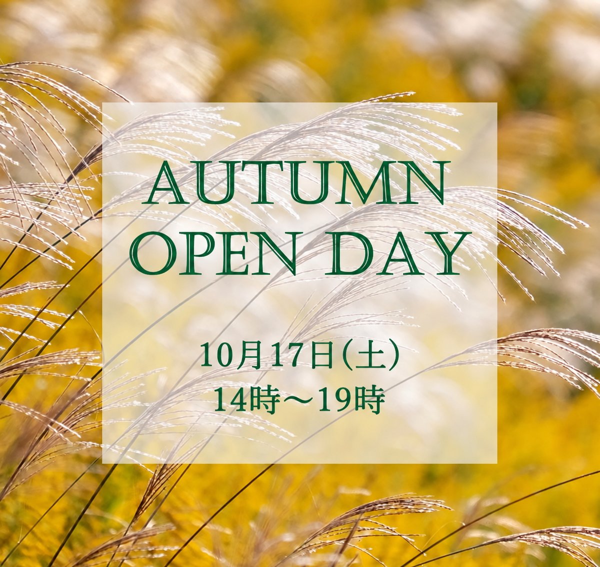 ARSNOVA_Ginza's tweet photo. 【　本日(17日)、開催🎉　】

【　ARSNOVA AUTUMN OPEN DAY🌾　】

(ご指摘いただきありがとうございます。
今まで表示しておりましたラベルの時間が
間違っておりました。
お詫び申し上げます。正しいお時間は…

14時～19時

何卒よろしくお願いいたします。)

*************************************

　秋の銀座をお楽しみいただく季節となりました☺️

日頃よりARSNOVAをご愛顧頂いております皆様へ、
秋のOPEN DAYのお知らせでございます。

ARSNOVAでお買い物をされたことがある顧客様限定のOPEN DAYを開催いたします。

(大変恐縮でございますが、ご新規のお客様はご来店いただけません。)

ARSNOVAでは、普段はご予約をお願いしておりますが、

10月17日（土）14:00〜19:00

この5時間はご予約なしでお立ち寄りいただけます🍂

秋のひと時、銀座へお越しの折には、どうぞお気軽にお立ち寄りくださいませ。

お茶やワイン、お菓子などをご用意して、皆様をお迎えいたします🍰🍷

ジュエリー・宝石をご覧になりたい方、
オーダーやリフォームについてご相談のある方はもちろん、
お近くまでいらしたので少し顔を見に…というお立ち寄りも、どうぞお気軽に…☺️🧡

いつものARSNOVAとは少し違う、ゆったりとしたお時間をお過ごしいただけましたら幸いでございます。

秋の銀座で、皆様にお目にかかれますことを楽しみにしております。

ARSNOVA Ginza💎
五十嵐 奈穂美
五十嵐 萌

#arsnova
#オーダーメイドジュエリー
#銀座
