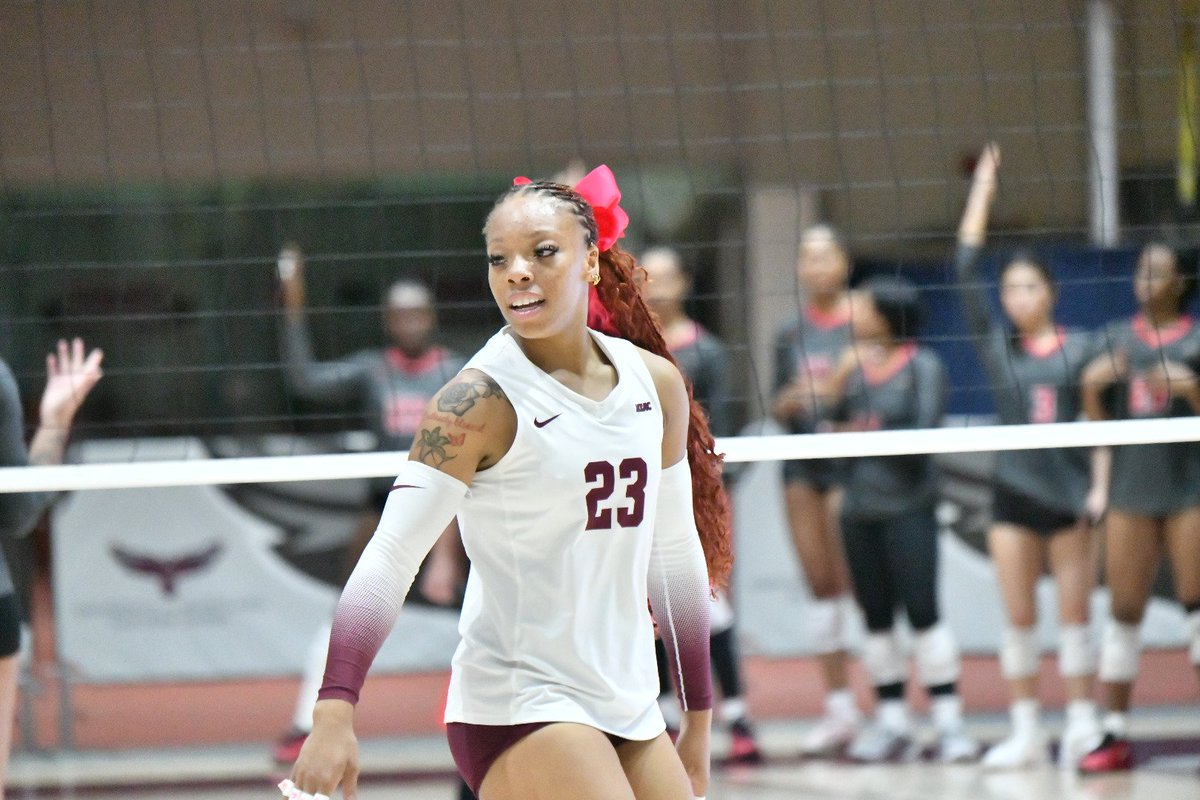 UMESHawkSports's tweet photo. Supporting the @AVCAVolleyball Dig Pink Side Out Foundation!
#HawkPride I #SoarAboveandBeyond https://t.co/759KPCtyr7
