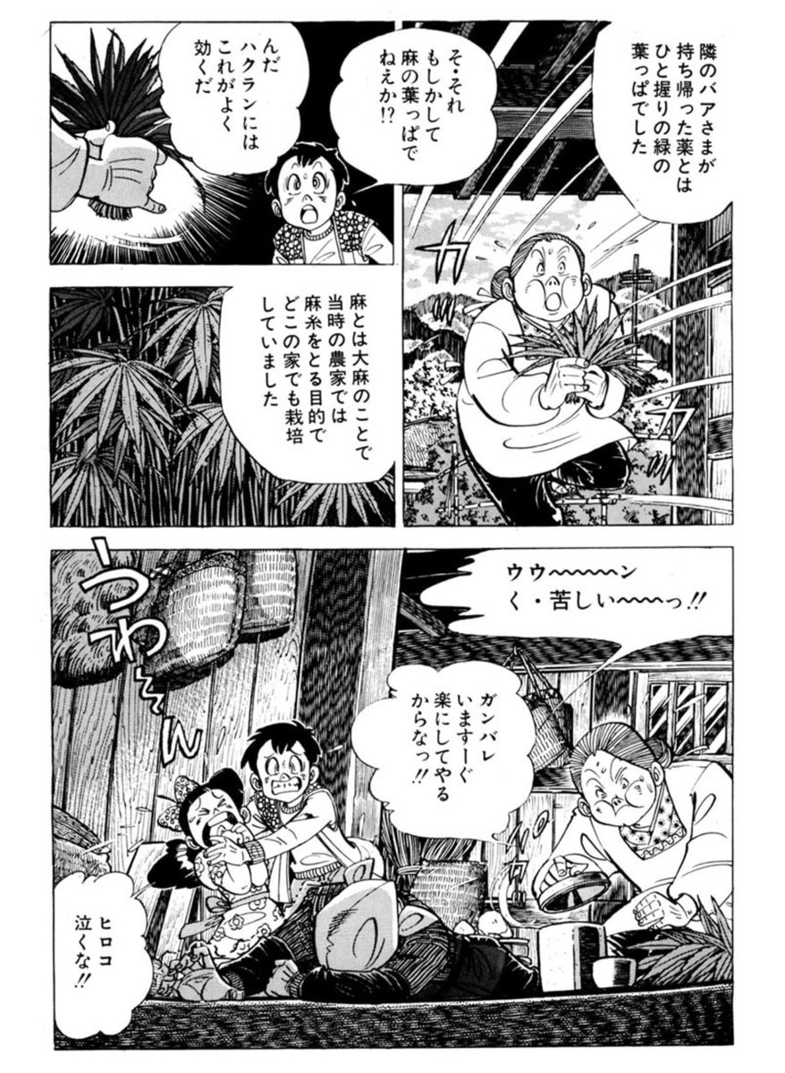 mouseion_semiko's tweet photo. 習俗的なところで言うと、三平じゃないけど「ボクの手塚治虫」の中で描かれる「大麻で行われる民間治療」のくだりも興味深い
日射病で倒れた母親に、近所の人が麻の汁と塩で手当てをする
塩と水はわかるけど、麻については現代医療的な解説が欲しいところ https://t.co/olW0obJRAP