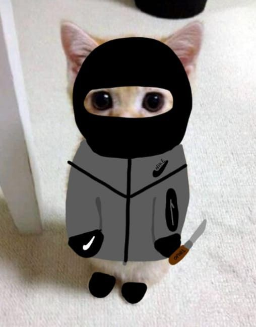 gato_pf's tweet photo. alright run to my profile and follow me bruv.

or u get shivved.

https://t.co/cTpsdgNJmH https://t.co/D2XdHkiWsM