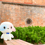 Photo by ヴァイスシュヴァルツブラウ【公式】 (@wsblau_info)