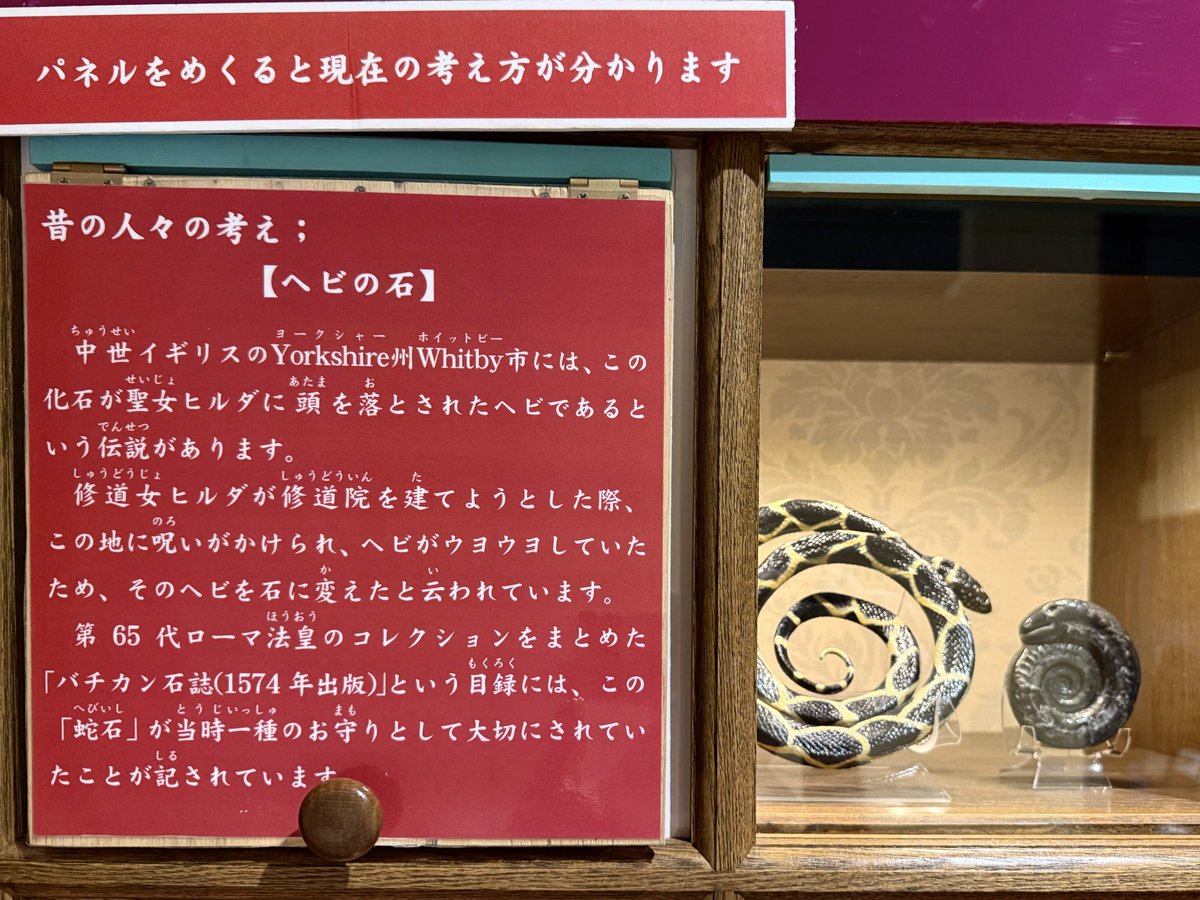 yoriko394's tweet photo. 先日用事があって富士宮へ行った時、気になっていた奇石博物館の企画展「毒と薬の石たち」も観てきた。
展示コーナーが順路の最後の方で、常設展が面白すぎてうっかり夢中で見学してたら、たどり着いた頃にはけっこう疲れてた💦 https://t.co/l9QVQY6QOY