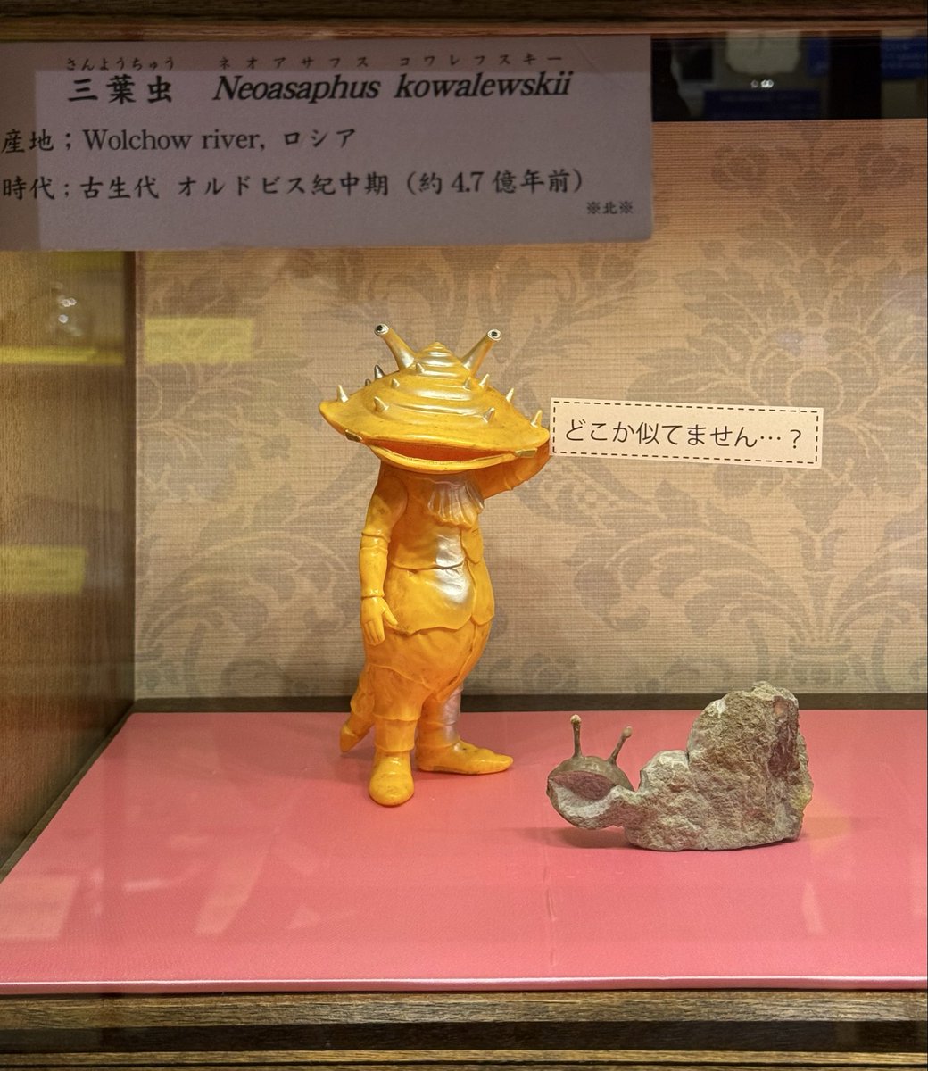 yoriko394's tweet photo. 先日用事があって富士宮へ行った時、気になっていた奇石博物館の企画展「毒と薬の石たち」も観てきた。
展示コーナーが順路の最後の方で、常設展が面白すぎてうっかり夢中で見学してたら、たどり着いた頃にはけっこう疲れてた💦 https://t.co/l9QVQY6QOY