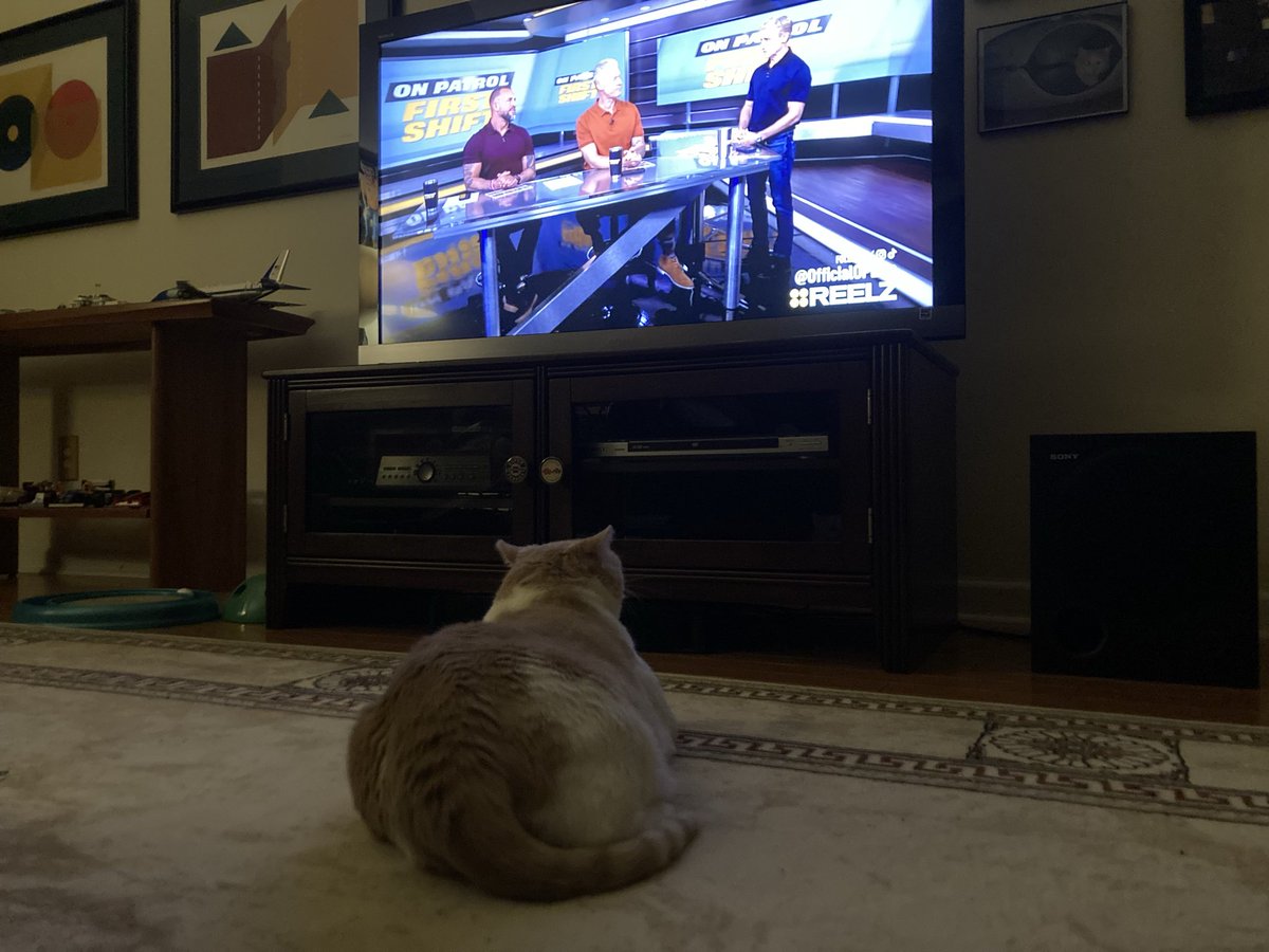 The_NASCARJeff's tweet photo. Pawfficer Dusty is ready for @OfficialOPLive on @ReelzChannel #FirstShift https://t.co/Jt4UKvl0sV