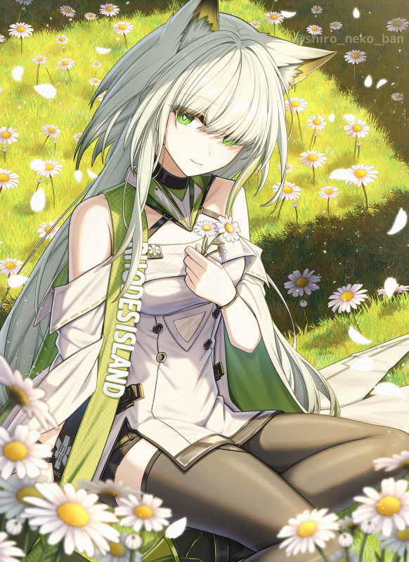 shiro_neko_ban's tweet photo. ケルシー先生
#アークナイツ https://t.co/NAN3xBzmgY