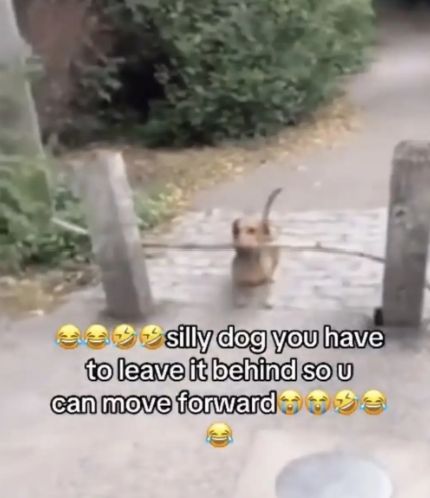 nocontextmemes tweet picture