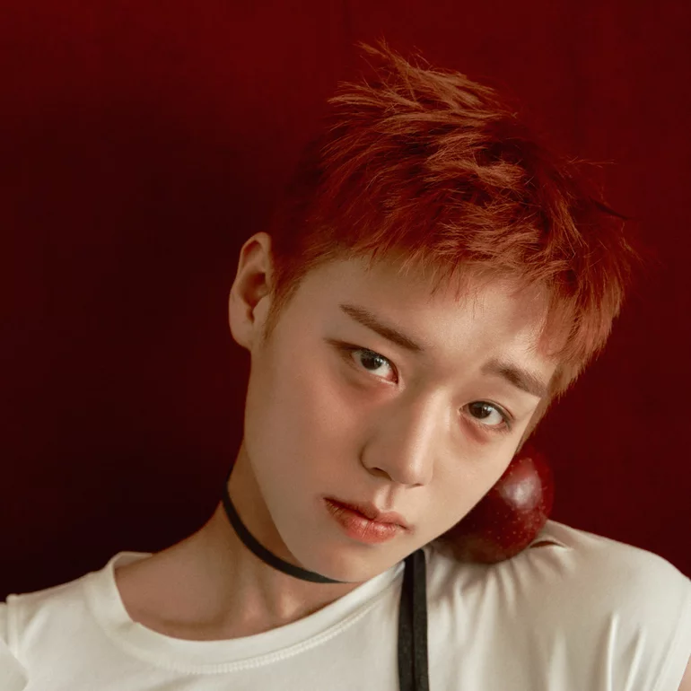 kchartsmaster's tweet photo. Brand Reputation for Top Individual Boygroup Member each month in 2026 so far: 

January: BTS's Jimin 
February: BTS's Jimin 
March: Wanna One's Park Jihoon 
April: Wanna One's Park Jihoon 
May: BTS's Jimin 
June: BTS's Jimin 
July: BTS's Jimin 
August: BTS's Jimin 
September: BTS's Jimin
October: BTS's Jimin