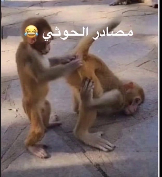 y10329910's tweet photo. @almrwan_mrwan https://t.co/F2bxmA4mxr