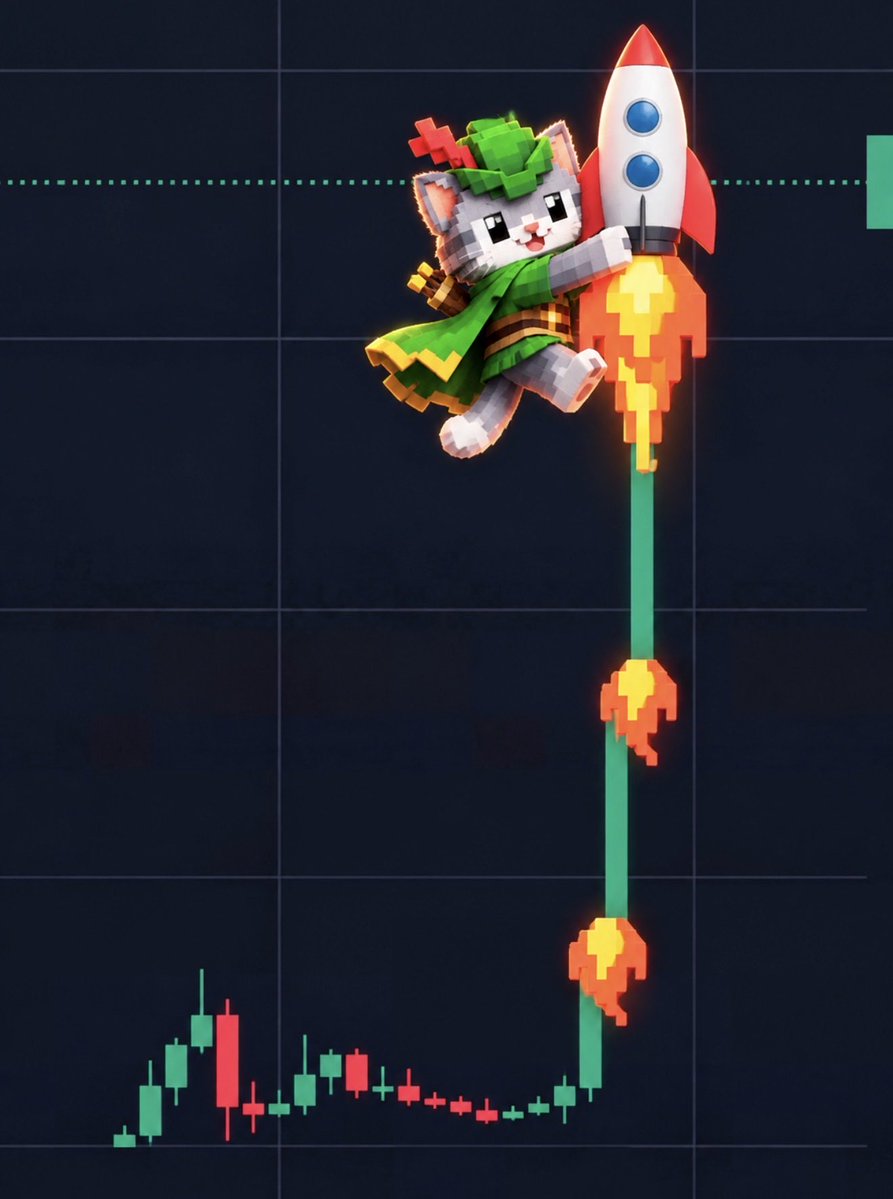 RobinCatFan1's tweet photo. #robincat right now 🚀 watch us fly with @RobinhoodApp https://t.co/gc0iZ7WJYa