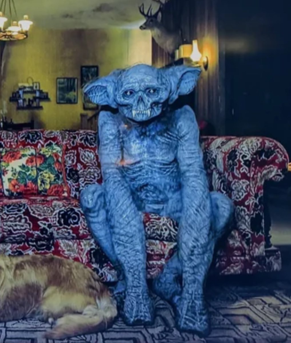 CryptidsCustoms's tweet photo. @deliciouspeter it’s him https://t.co/7tUQhqAz3Y