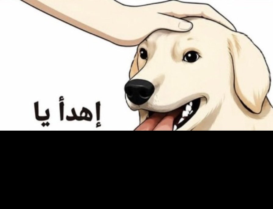 t3a_7's tweet photo. @Abu_amir05 فلسطين ليست من أركان الايمان او الإسلام  ❗️ https://t.co/92JZCkB4lq