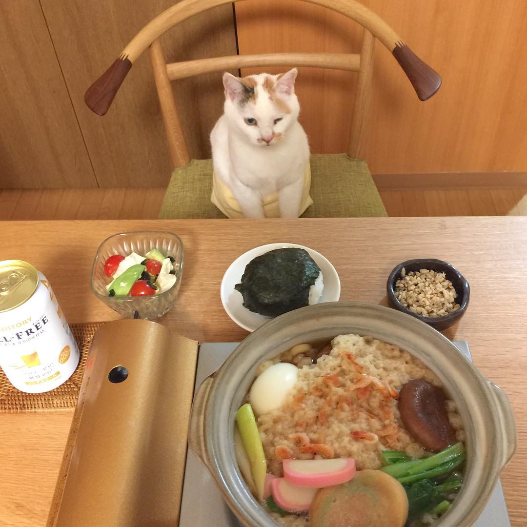 MarcellaMiglep's tweet photo. 視線の先にある沈黙に、ふと問いかけたくなる。言葉にしなくても伝わる距離ってあるよね。みんなはどうやって気配を分けてる https://t.co/XnQidXSDHc