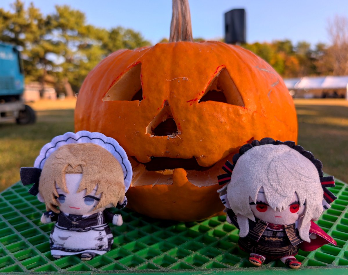 usa__2434's tweet photo. いい天気だった〜🎃🎃 https://t.co/EaydFhFh7P