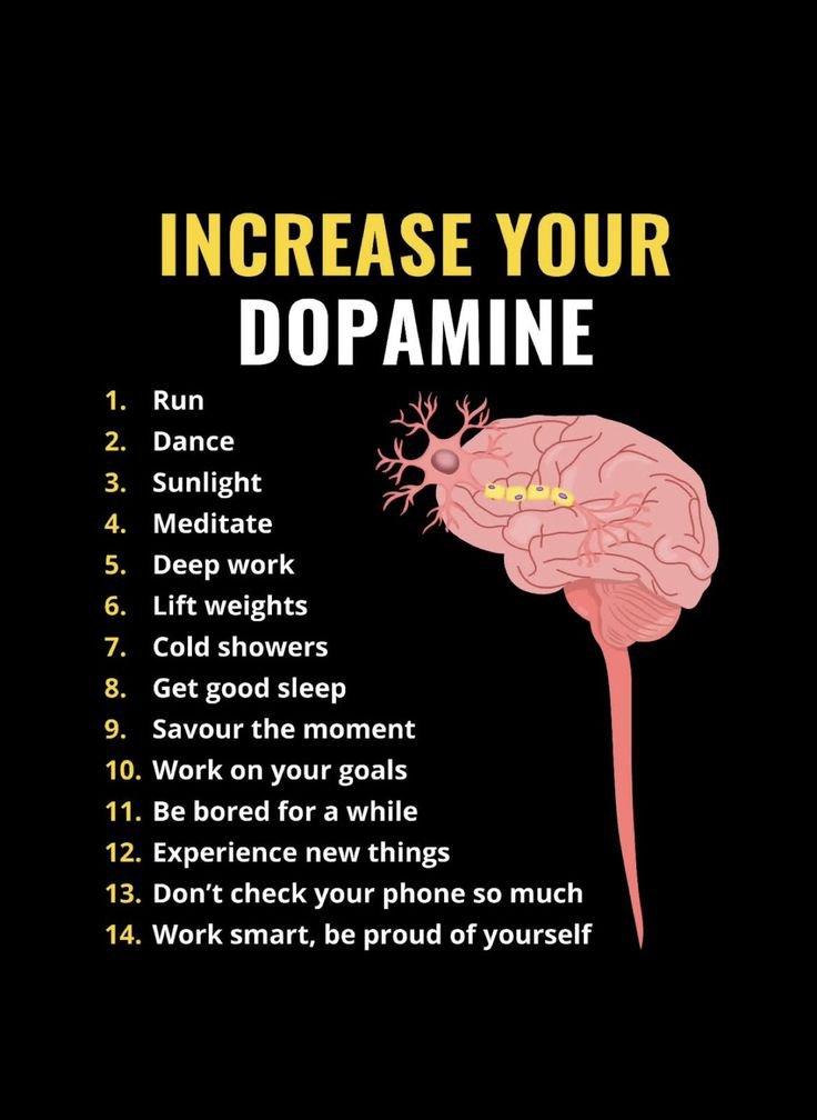 JacksonAI_Tech's tweet photo. Increase your dopamine.. https://t.co/wHNoWGTcDK