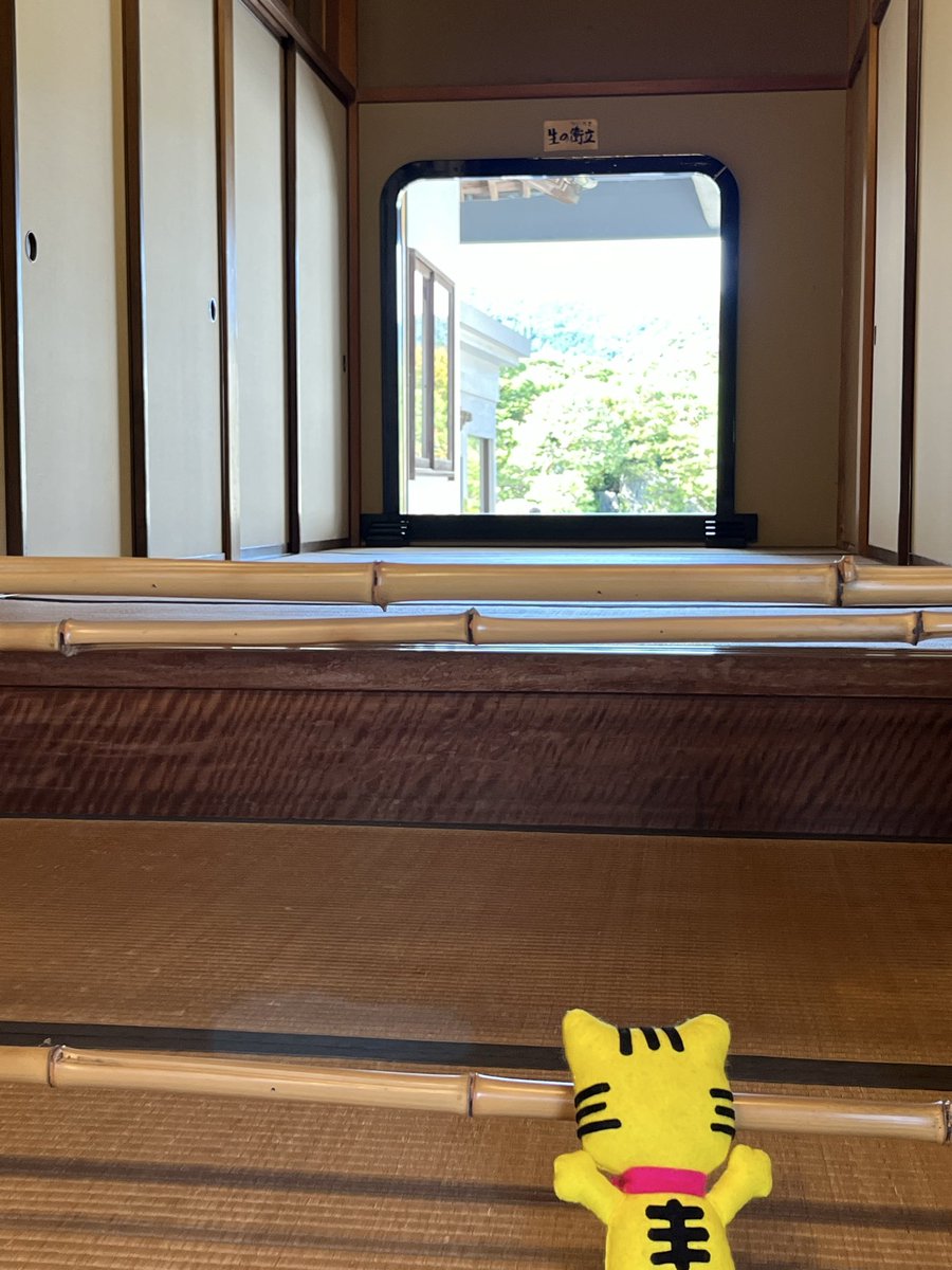 trust_sanyobus's tweet photo. 出雲大社の神楽殿のしめ縄が
今年の7月に新しくなりました✨
足立美術館にも立ち寄り〜
鑑賞メイン１つ！ガラス枠で作られてる『なま掛け軸』『生のついたても楽しんだ

トラ3🐯です
#山陽バストラストツアー
#山陽バス貸切
#お参りの旅
#おりとりさま大歓迎
#山陽バス
#出雲大社
#足立美術館
#島根県 https://t.co/oANmRBQ9oh