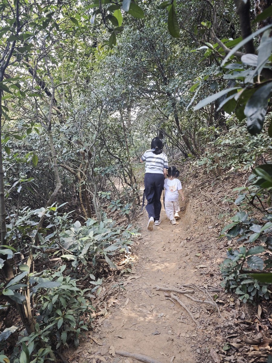 runmaotui's tweet photo. 远离网络，说爬山就爬山⛰️

周末参加小区遛娃活动，没想到是这种难度啊

干废了三双小白鞋😭 https://t.co/K3LLGBDucN