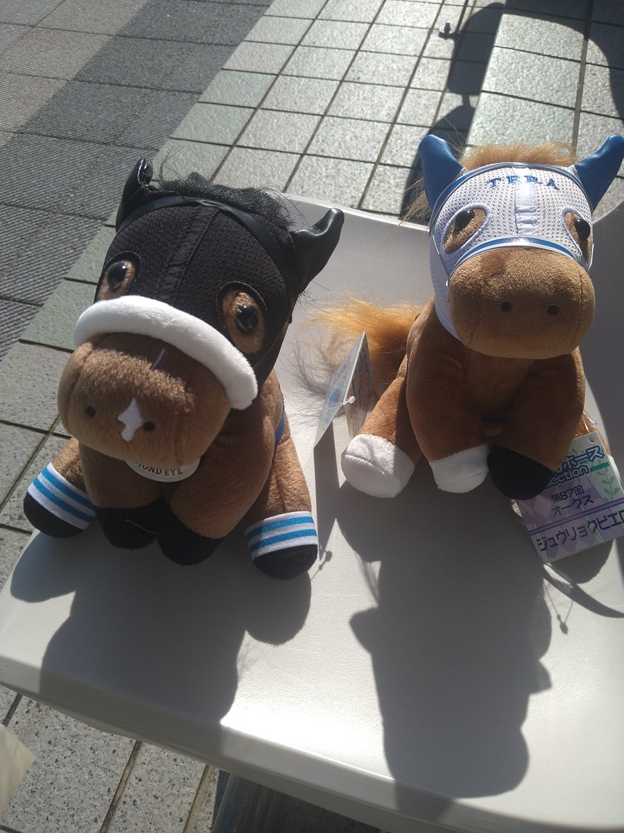 6aeKYdIkxv5mt00's tweet photo. 久しぶりに京都競馬場😆
だいぶん変わった⁉️
ピエちゃん🐴
売り切れてるかなぁと
思ったけど買えたぁ
アーモンドアイも買った😄
やっぱ馬券、携帯で買うより
現地の方が楽しい🎵 https://t.co/t7kYdKXFuR