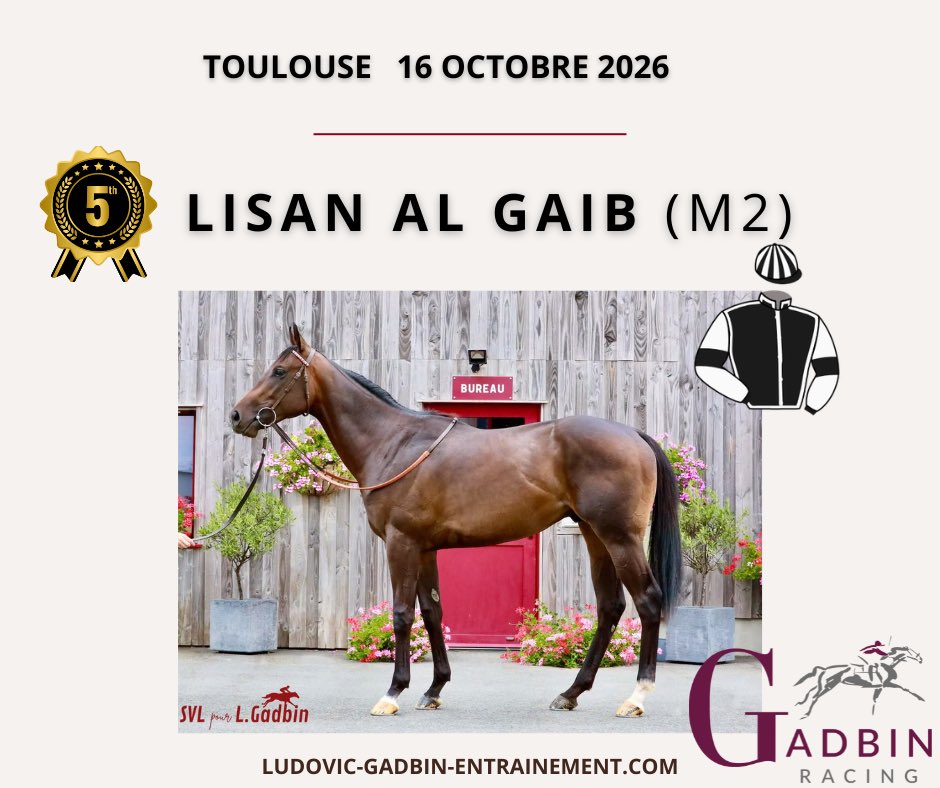 LGadbin's tweet photo. @LGadbin 
#Toulouse https://t.co/XzK3ntX8Bx