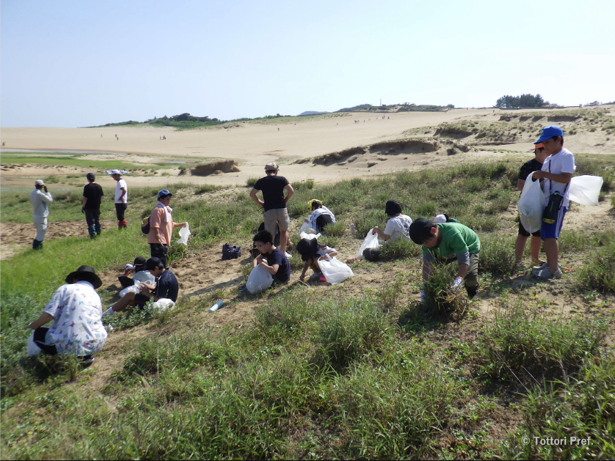 japan's tweet photo. To protect nature, sometimes you have to pull out plants. 🏜️🌬️ At the Tottori Sand Dunes, vegetation can stabilize the sand and reduce its movement. Conservation includes thinning plants where needed—helping keep a living dune shaped by sand, wind and plants. ✨ https://t.co/zLCkxhHIKz