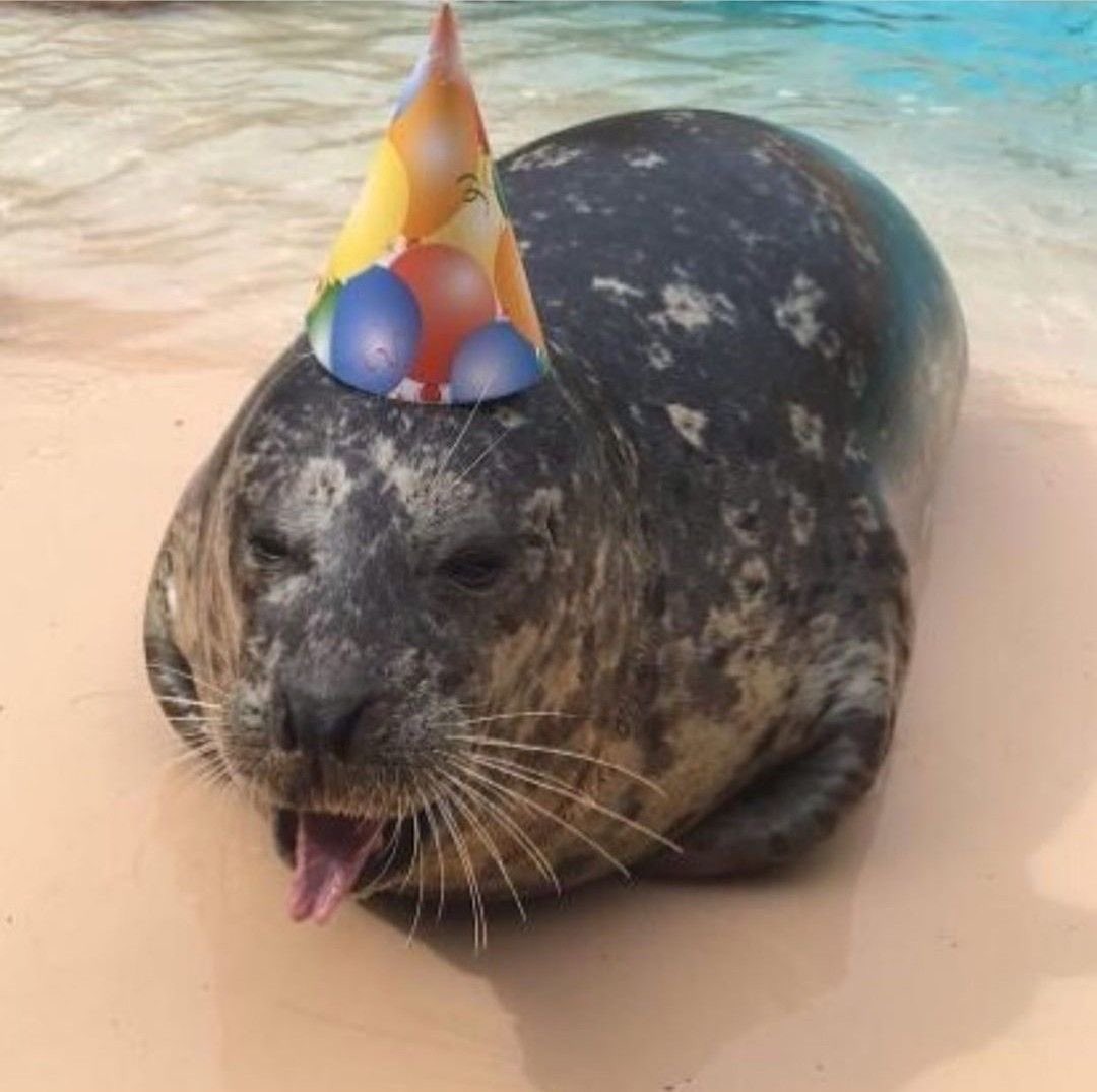 snoozlord's tweet photo. hi snooz nation it's my birthday https://t.co/2Fp2ak3j9s