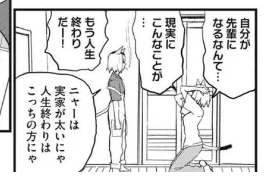 T0nDem0nena's tweet photo. ここマジ最低で神 https://t.co/CcmFhymDRG