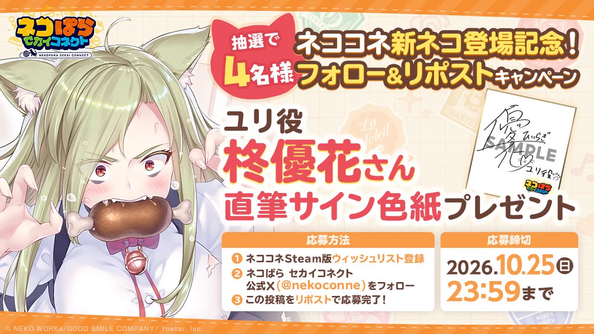 ネコぱら セカイコネクト公式 on X: 