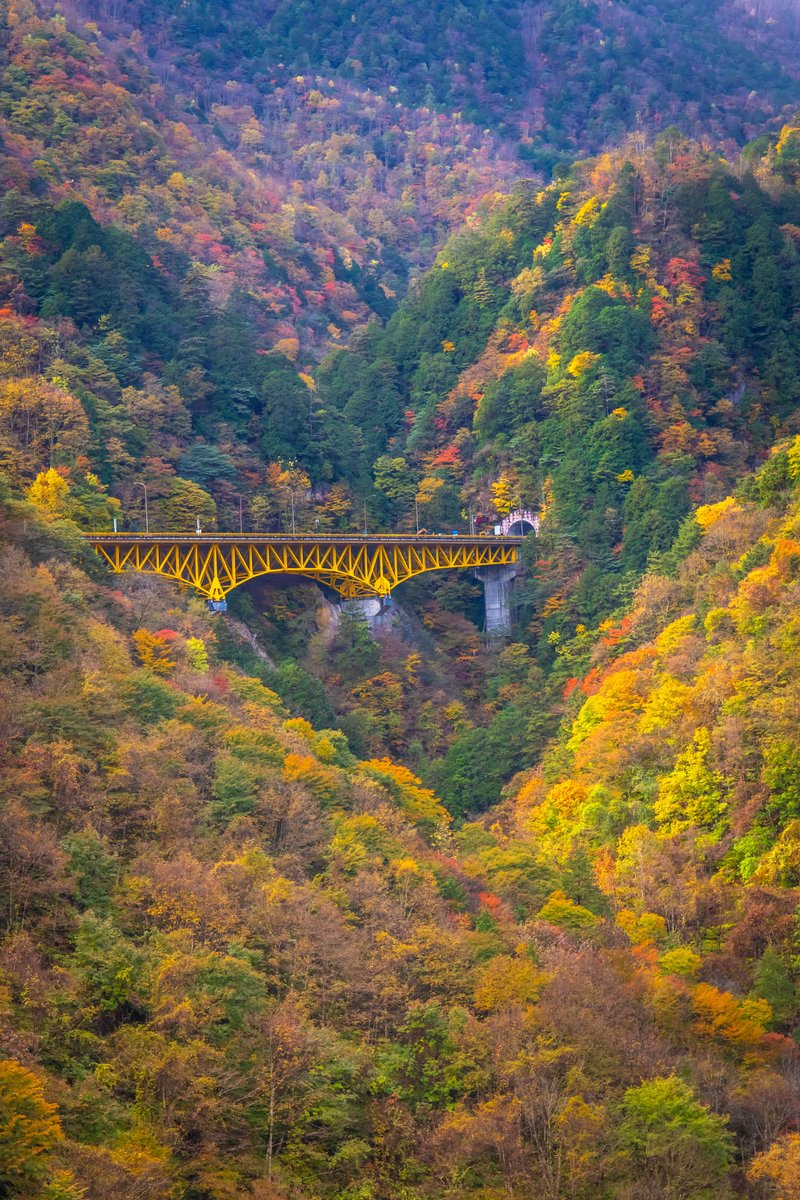 yoshito_photo1's tweet photo. 奥秩父の紅葉は、黄色い橋と赤い橋が楽しめます https://t.co/SGIyBWakTY
