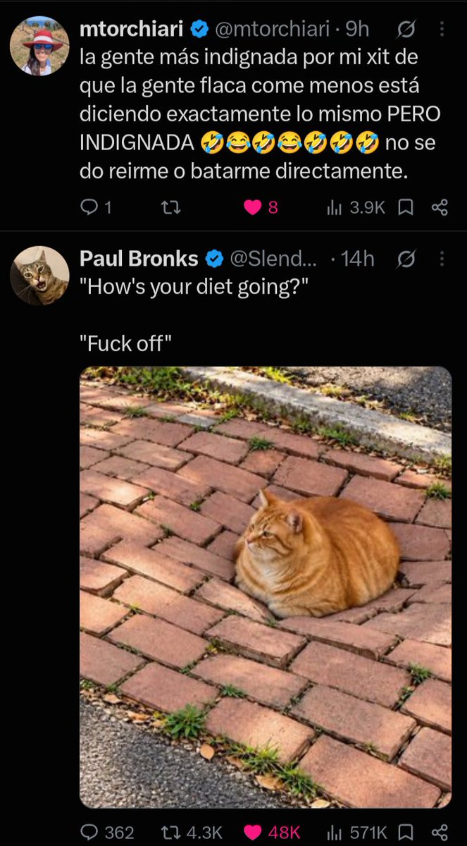 catlessii tweet picture
