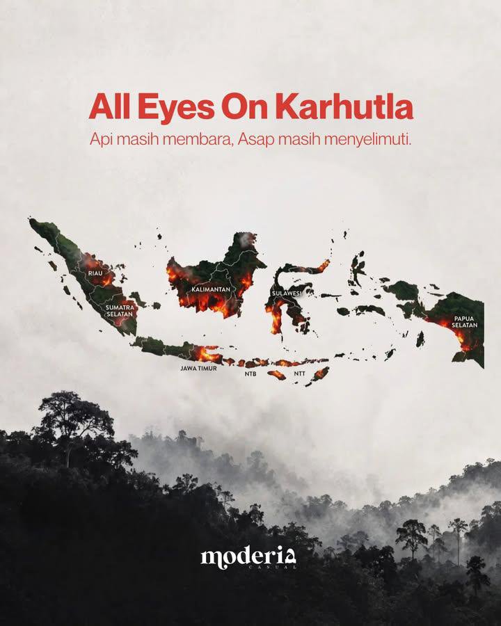 anaphalisaa's tweet photo. All Eyes On Karhutla 

cepat pulih Indonesia 😞 https://t.co/krOChwNEFu