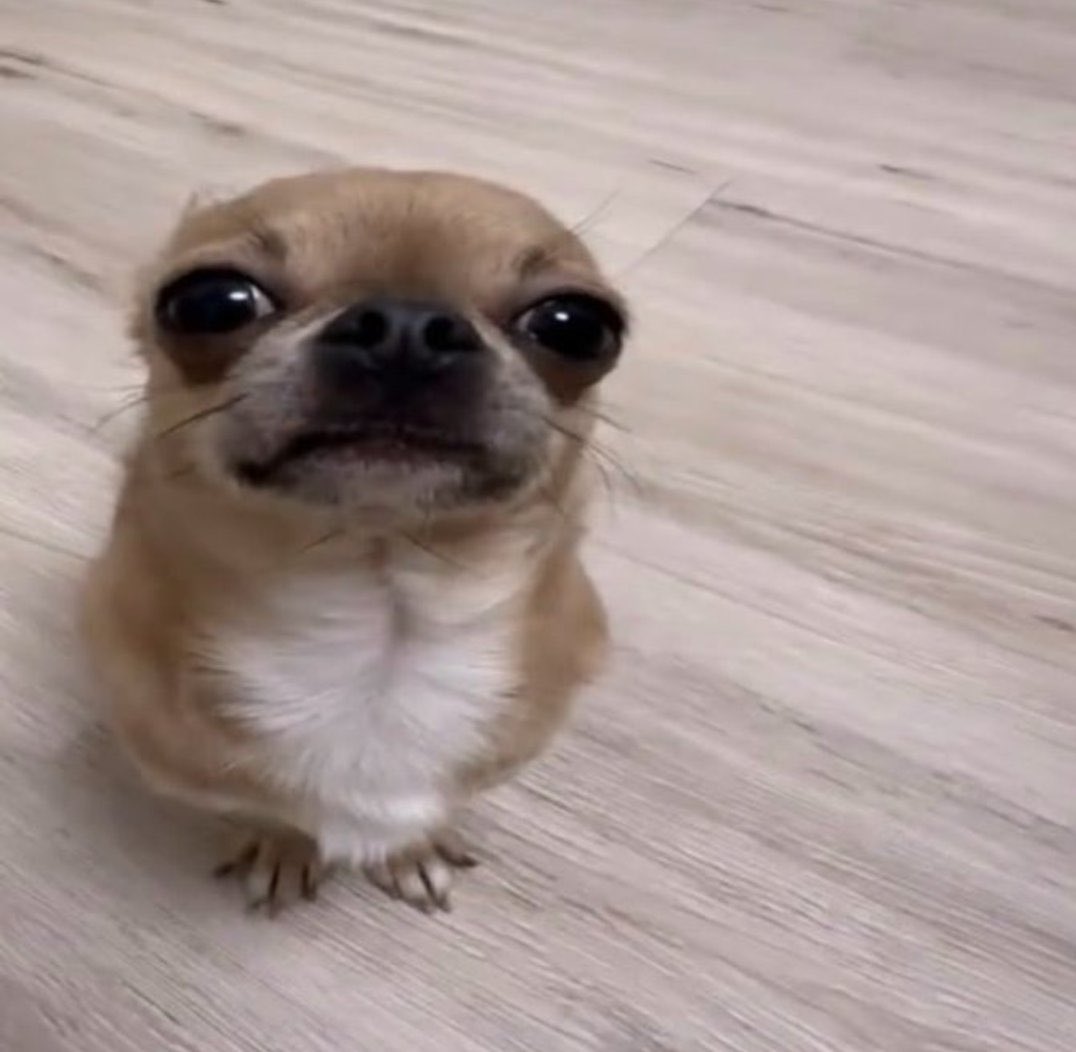 captnlaw's tweet photo. im gonna start using this little guy every time yall post food on the tl 😅 https://t.co/TybndT3nQX