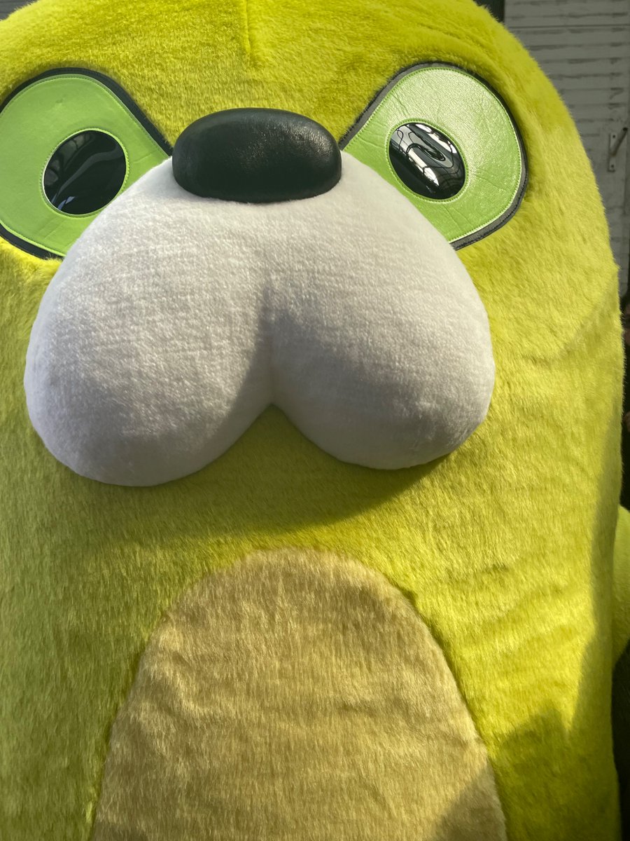 lemonade_hgdn's tweet photo. ムジーナほわほわかわよい https://t.co/iMvjGxttDf