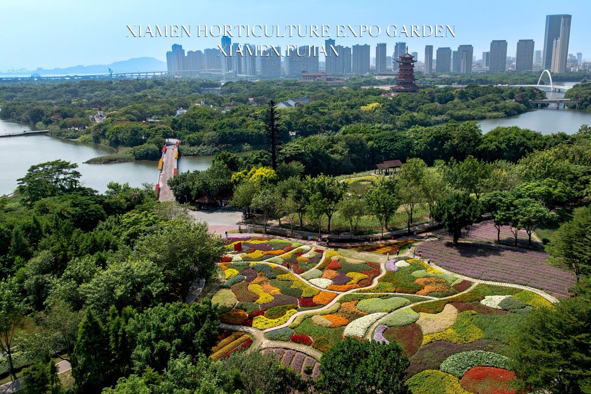 FlyOverChina's tweet photo. Vibrant views of blooming flowers at the Xiamen Horticulture Expo Garden in Xiamen, southeast China's Fujian Province.

#ChinaTravel #Autumn #FlyOverChina #Xiamen #Fujian https://t.co/x0e8P3Qmlm