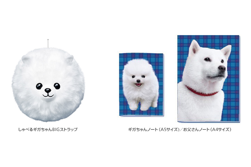 SoftBank's tweet photo. ＼ クイズの正解発表！ ／
正解は…「C：ギガちゃん」でした！

2016年、ソフトバンクのCMに登場した「ギガちゃん」。
「ギガ学割」では、「しゃべるギガちゃんBIGストラップ」が抽選で1,000名に当たるキャンペーンも実施されました。

当時のCMを覚えている方はぜひ教えてください！

#SoftBank https://t.co/PqGP2kS0JX