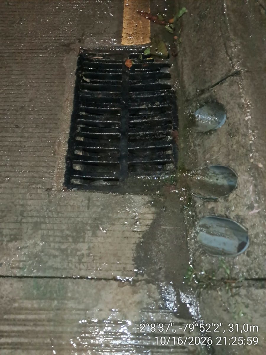 MuniSamborondon's tweet photo. 🌧️ Al momento no se reportan anegaciones ni acumulación de agua en el sector de Parque Histórico.

✅ Los sumideros se encuentran despejados y no se registran desechos u obstrucciones durante el recorrido de monitoreo.

#SamborondónEnAcción https://t.co/SbuQ0a9yeu