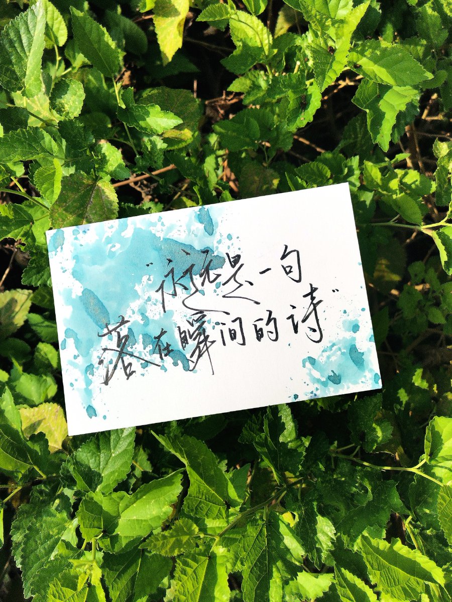 MilaCrowlewa's tweet photo. [吮医墙毖]という特別な言葉と、思いがけない日常の一瞬が交わった、何とも言えない空気感。 https://t.co/jMp2zSg3Ss
