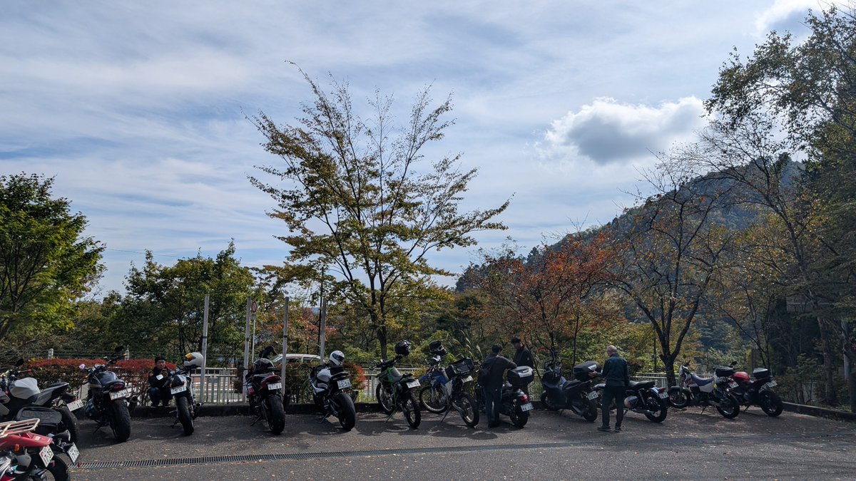 moribuden's tweet photo. ここ東京なんだぜ https://t.co/a3p5Jxdzdk